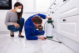 Professional Pest Control in Somerdale, NJ